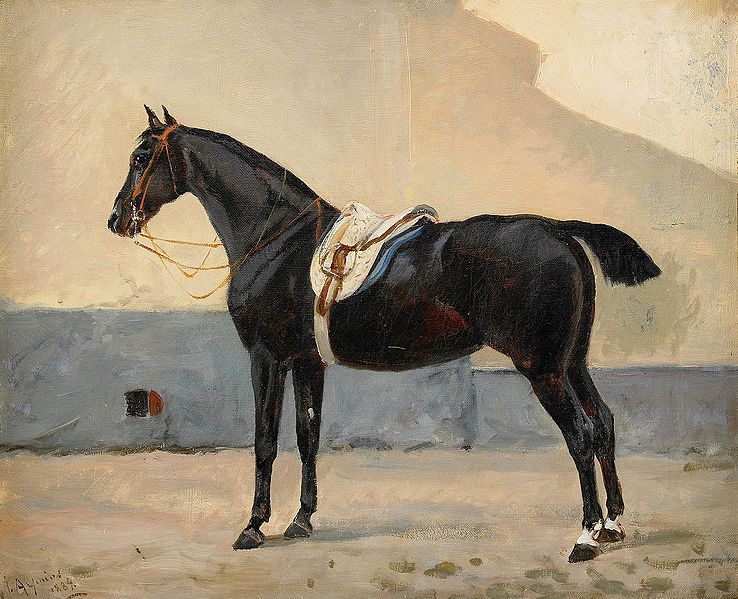 Portrait of a Horse